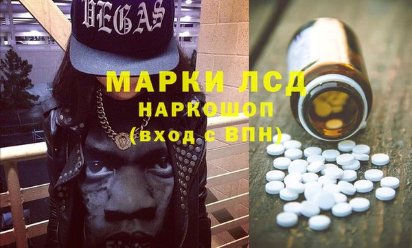 хмурый Верея
