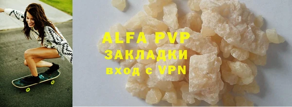 хмурый Верея
