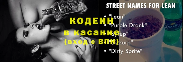 хмурый Верея