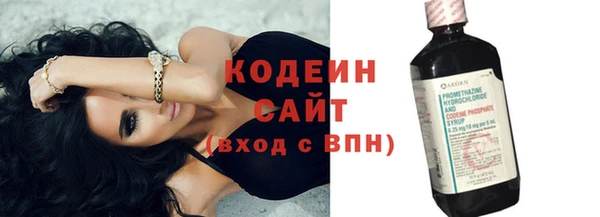 хмурый Верея