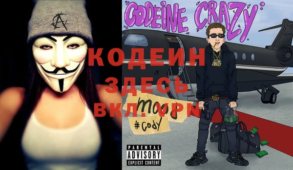 хмурый Верея