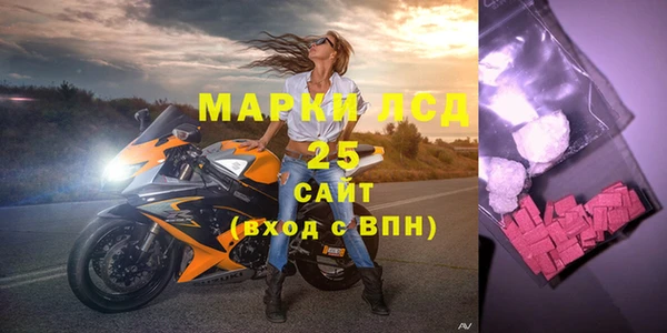 хмурый Верея