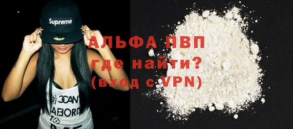 хмурый Верея